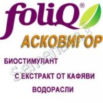 Асковигор (Ascovigor)