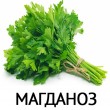 ef80b6ee-4768-4d28-8909-9d70643f352d